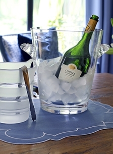 Ice Buckets
