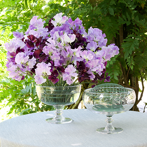 Arranging Sweet Peas